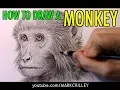How to Draw a Monkey Narrated Step-by-Step