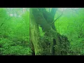 聖剣伝説3 - Hightension Wire (Cover)