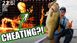 Is Livescope TOO EASY Live Screen Footage Catching Bass