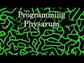 Build a Physarum Slime Mold Simulation from Scratch