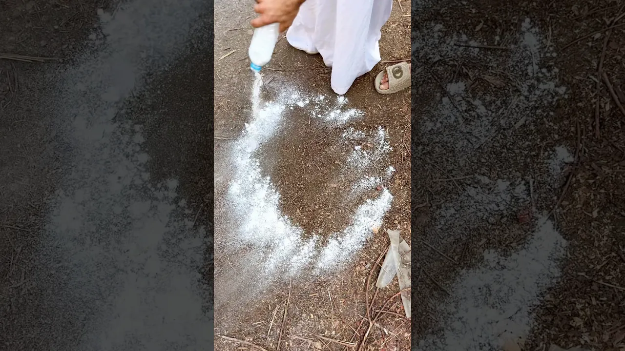 ترسم دائرة سحريه ..!!