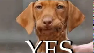 yes YES GIFs