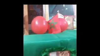 أفكار للإحتفال بذكرى المسيرة الخضراء 