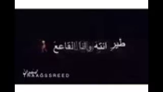 طير وانته وانا القاع لابد تحط يوم 