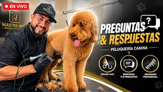 Peluquería Canina Goldendoodle Q&A