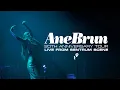 Ane Brun - 20th Anniversary Tour (Live in Oslo)