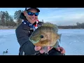 Ice Fishing Minnesota for Trophy Bluegills - In Depth Outdoors TV S16 E4