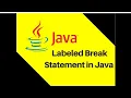 What is Lebelled Break Continue Statement in Java Programming in Hindi