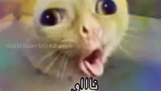 أغنية الأوته المشمشيه طول عمرها تنونو   كاملة دندنها