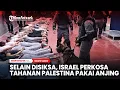 Bukan Hanya Disiksa, Israel Perkosa Tahanan Palestina Pakai Anjing