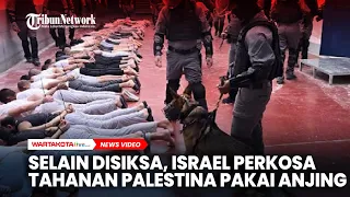bukan hanya disiksa israel perkosa tahanan palestina pakai anjing