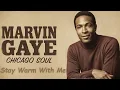 Lagu Chicago Soul | Marvin Gaye Inspired 1970s Soul – Stay Warm With Me