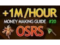 OSRS Money Making Guide Dragon Implings