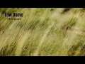 Download Lagu Low Dome - Marigold (LYRICS)