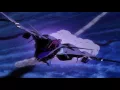 Download Lagu Sentou Yousei Yukikaze AMV HD | Gott Mit Uns by Sabaton