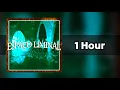 Download Lagu Espaço Liminal (Ultra Slowed) | 1 Hour Loop