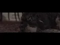 Joey Pecoraro - What A Wonderful Thing To Do (Official Video) - Joey Pecoraro