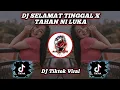 Download Lagu DJ Selamat Tinggal x Tahan Ni Luka Viral Tiktok Terbaru