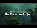 Download Lagu Too sweet - Hozier (lyrics) cover by The Macarons Project