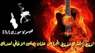 سليم الزيادي   كم قلتك ياقلب   كامل دندنها