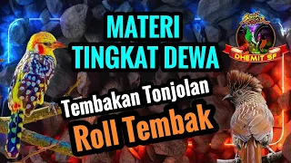 materi tingkat dewa tonjolan roll tembak