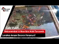 Download Lagu Rekomendasi 12 Jenis Ikan Mas Koki Tercantik Beserta Daftar Harganya