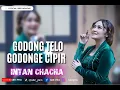 Download Lagu INTAN CHACHA-GODONG TELO GODONGE CIPIR KARAOKE