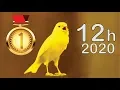 Download Lagu Malinois Waterslager 12h Singing 2020
