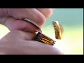 Download Lagu Samsung Bottle Opener Ringtone