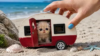 The Smallest Kitten In THE WORLD Got a New Home! Building a New amazing house for  kitten