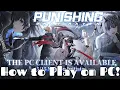 Guide to playing PC Client and mapping controllers Punishing Gray Raven