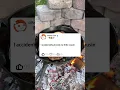 Download Lagu I accidentally plowed my little cousin#story #storytime #reddit