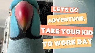 Kiwi Goes On An Adventure With My Daughter & Myself