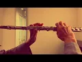 メランコリー/梓みちよ【フルートで演奏してみた】"Melancholy" Michiyo Azusa 1976年(昭和51年 吉田拓郎 作曲