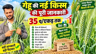 गेहू की इस साल की नई किस्मे किसका कितना उत्पादन और किस जगह लगा सकते है wheat । gehu । vearity