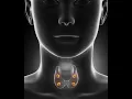 Parathyroidectomy Adenoma Hyperparathyroidism - Parathormone Exploration Autotransplantation