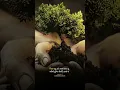 Download Lagu Mai Bas Khud ko Apna Manta hu#motivational #shorts #motivation #shortvideo #status