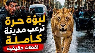                                                                دندنها