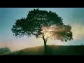 This piano playlist will find you at the right moment
