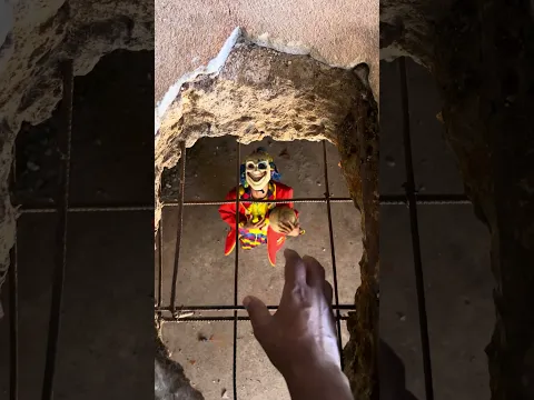 SALVEI A BOLA
