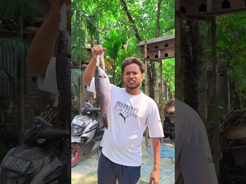 শ্বশুরবাড়ি থেকে কি খাবার পাঠালো আমার জন্য