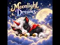 Moonlight Dreams