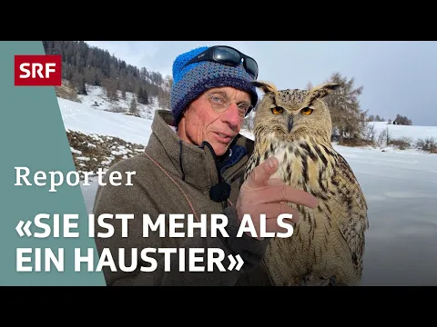 Download MP3 Der Mann mit dem Vogel – Ein Schweizer Hobby-Ornithologe und seine Eule | Reporter | SRF