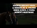 Download Lagu DOGMAN WREAKS HAVOC \u0026 HORROR ON A WEST VIRGINIA HORSE RANCH, YOUNG WOMENS NIGHTMARE 