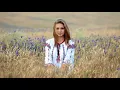 Цвіте терен   Улюблена пісня! Українські пісні Музика