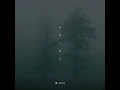 Abide