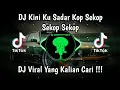 Download Lagu DJ KINI KU SADAR KOP SEKOP SEKOP SEKOP VIRAL TIK TOK TERBARU 2024 YANG KALIAN CARI
