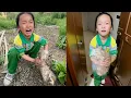 Download Lagu “It hasn’t found owner,Please took it back”My daughter cried and pleading with me to adopt the dog