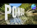 How to create 3-D Perspective Text Effect with Reflection using canva canva graphic design