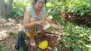 mancing ikan pamer cd hot